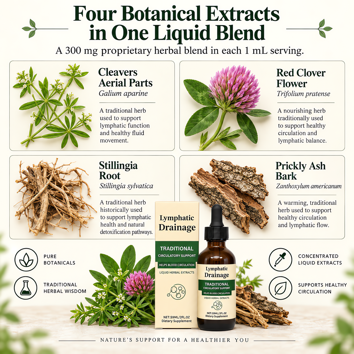 Cleavers red clover stillingia root and prickly ash bark herbal extracts